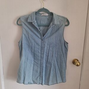 Everlane Light Blue Sleeveless Button Down Shirt